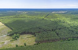 Ten Acre Rd., Andrews, SC 29510