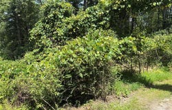 Belair Road, Glen Spey, NY 12737