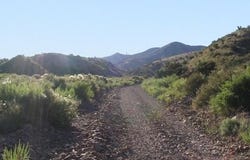 52 Acres NEW SOCORRO HEIGHTS, TX 79839