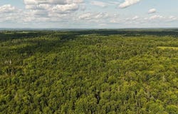 M2 L66 Wheaton Road, Dover-Foxcroft, ME 04426