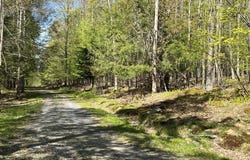 6.89 ACRES WOODLANDS HILL DR, OAKLAND, MD 21550