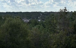TBD Lot 35 Pinecrest Dr, Bastrop, TX 78602