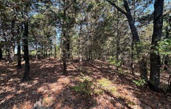 Gassaway, Searcy, AR 72143