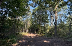 Par 3 Clements Road, Kaleva, MI 49645