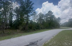 107 S GEORGETOWN POINT Road, GEORGETOWN, FL 32139