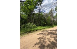 V/L E Lynndon Street, Idlewild, MI 49642