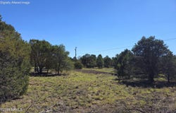 1270 E Alimos Way, Williams, AZ 86046