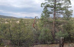 256 Sunrise Road, South Fork, CO 81154