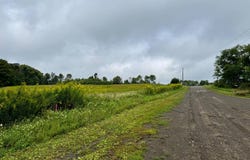 1.4 Brigham Rd, Richford, NY 13835