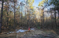 800 Southwood Lane, Rison, AR 71665