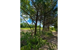 1264 Red Moore Road, Whitewright, TX 75491