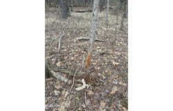 County Road 2211, Kosciusko, MS 39090