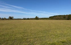 300 Dani Ln, Mathews, AL 36052