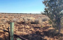 110 Acres 180 & 180A, Concho, AZ 85924