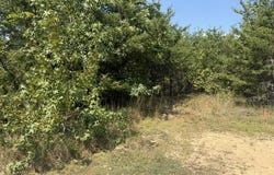 152 County Road 971, Flat Rock, AL 35966