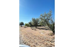 Pilot Road, Montello, NV 89830