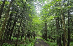 Hermitage Road, Warsaw, NY 14569