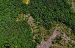 1300 Laurel Hill Rd, Henderson, TN 38340