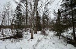 TBD #4 Koecher Road, Kerrick, MN 55756