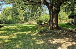 85 County Road 1435, Mt Pleasant, TX 75455