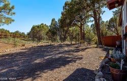 3370 Turkey Run, Overgaard, AZ 85928