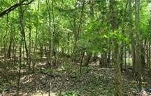 1380 Jasmine Road, Goochland, VA 23063