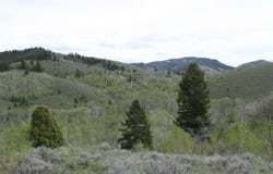 TBD Rd 216, Georgetown, ID 83239