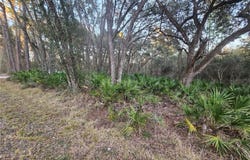 ROSEHILL Drive, WEBSTER, FL 33597