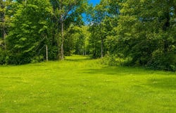 Niki Lane, Pelahatchie, MS 39145
