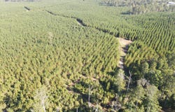 Kilpatrick Rd Tract 2B, Eatonton, GA 31024