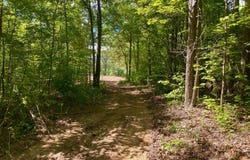 0 HWY 5, Marion, AL 36756