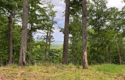 16207 SUMNEY DR, HAYMARKET, VA 20169