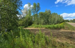13769 188th Place, Mc Grath, MN 56350