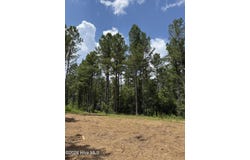 Christian Road lot: 5, McCormick, SC 29835