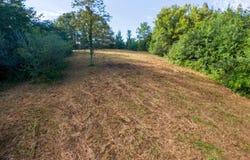 408 Shadden Rd, Tellico Plains, TN 37385
