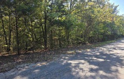 1007 E Wisconsin Avenue, Horseshoe Bend, AR 72512