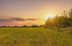 21814 Hogeye Rd, Manor, TX 78653