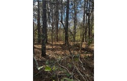 NHN E Lake Cypress, Hancock Co, MS 39573