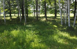 HUNTER CIR lot: 13, Antigo, WI 54409