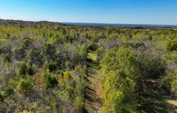 State Route 723, Salem, KY 42078