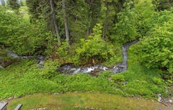 128 Slopeside Drive, Whitefish, MT 59937