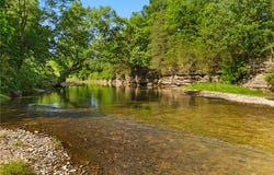 County Road 818, Green Forest, AR 72638