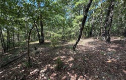 Tract D County Rd 516, Berryville, AR 72616