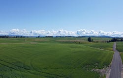 Basket Rd Parcel 2, Nezperce, ID 83543
