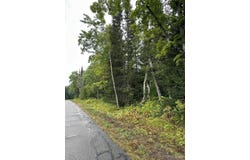 Old Beechwood Road, Iron River, MI 49935