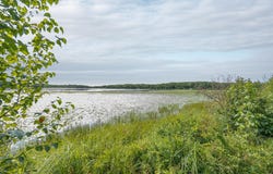 1089 8th Street NE, Pine River, MN 56474