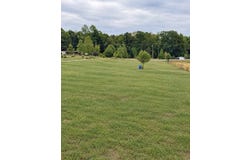 Hwy 64, Lexington, AL 35648