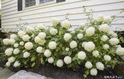 10 Blackberry Lane, Norwalk, CT 06850