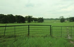 CR 3711, Athens, TX 75752