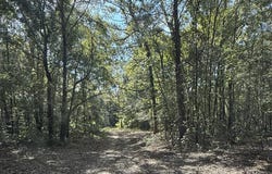 371 County Road 4266, Simms, TX 75574